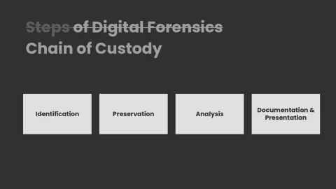 Slide 7